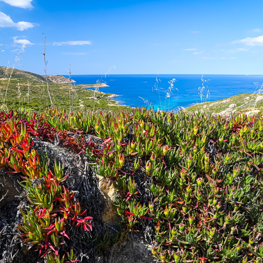 Corse, rivages et villages - photographie 3 par Michel Pachot