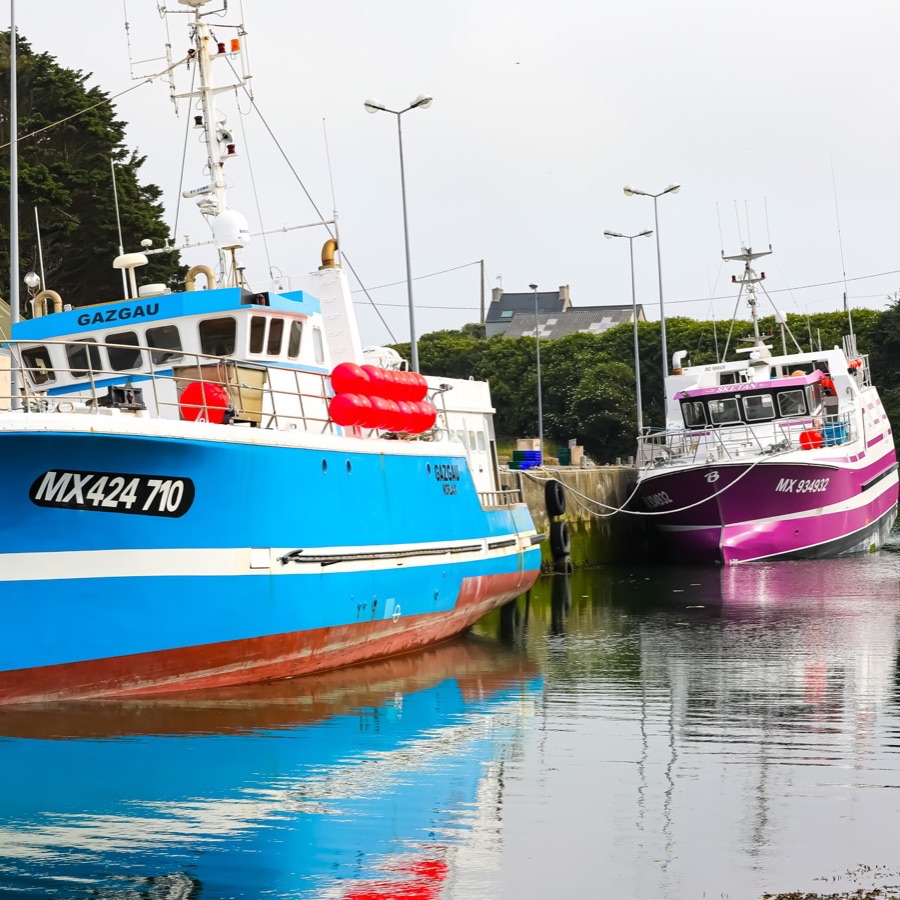 Bretagne, vents et matieres - photographie 33 par Michel Pachot