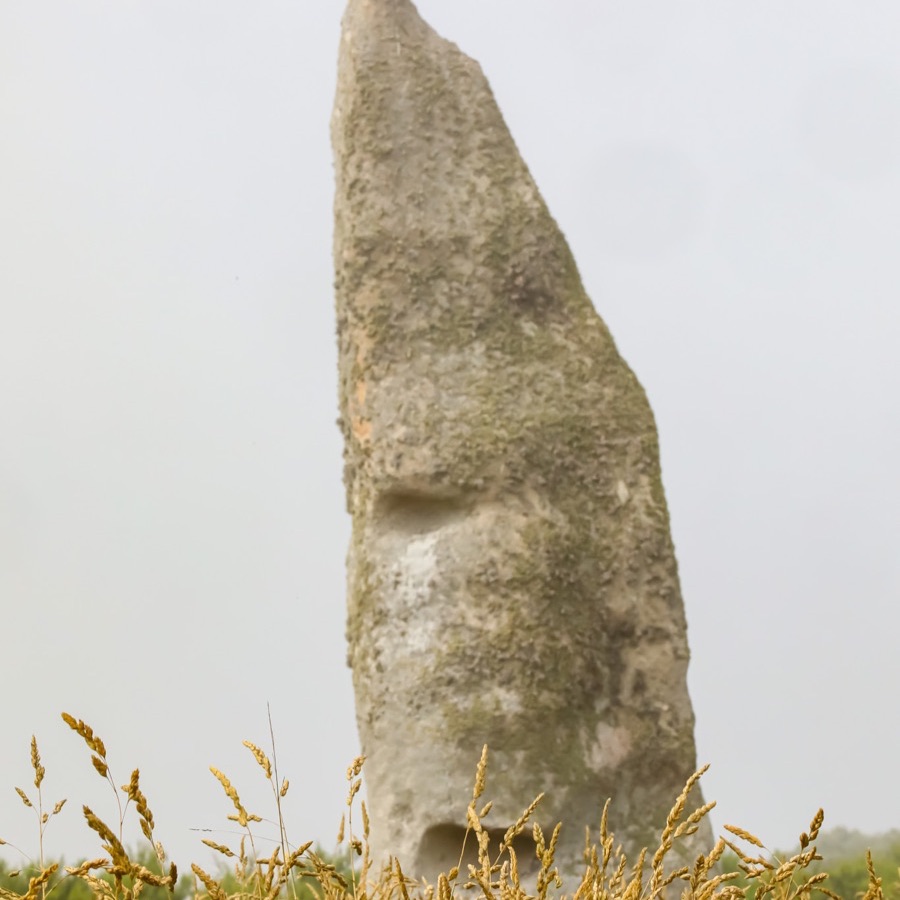 Bretagne, vents et matieres - photographie 37 par Michel Pachot