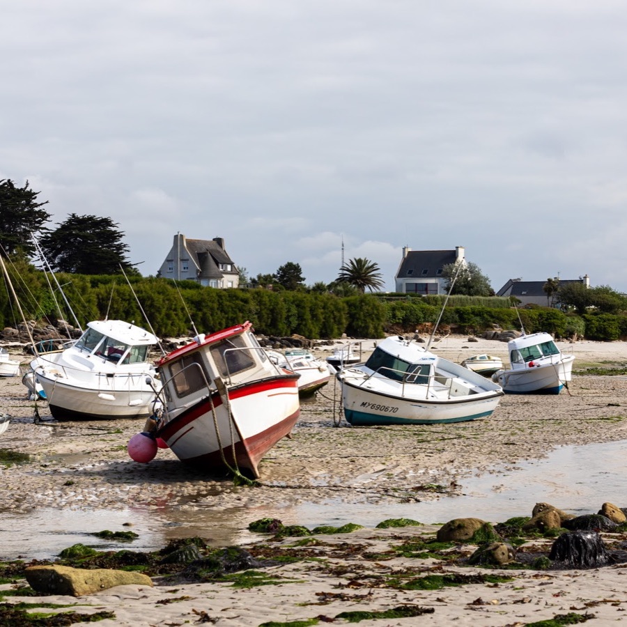 Brume en Bretagne - photographie 11 par Michel Pachot