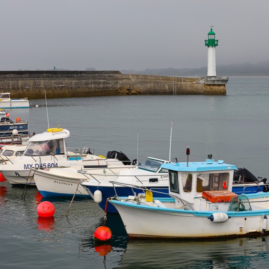 Brume en Bretagne - photographie 31 par Michel Pachot