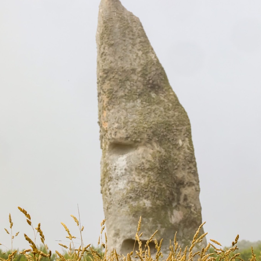 Brume en Bretagne - photographie 37 par Michel Pachot
