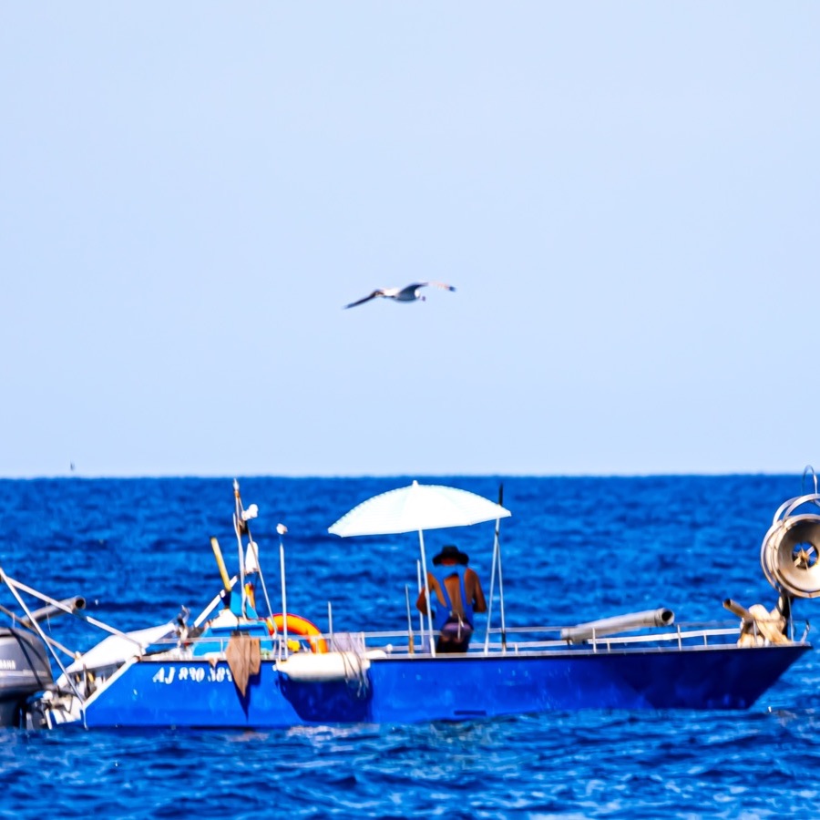 Corse, lumiere mediterraneenne - photographie 29 par Michel Pachot