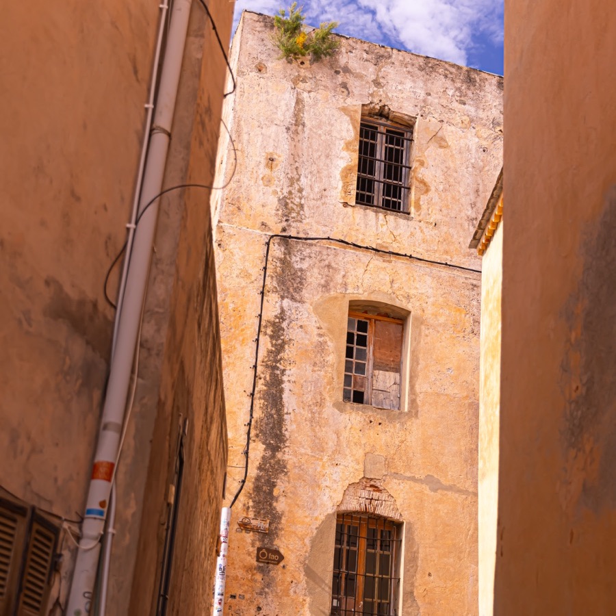 Corse, lumiere mediterraneenne - photographie 6 par Michel Pachot