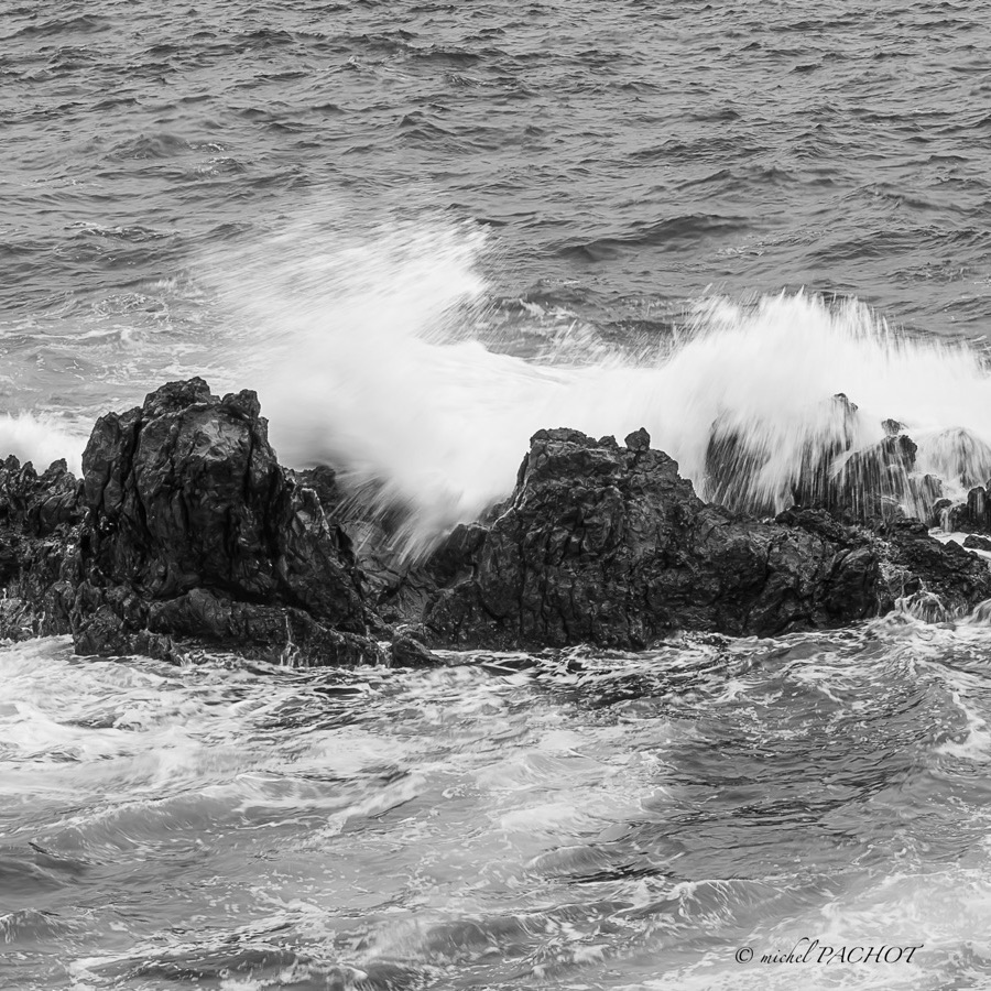 Madere, lignes insulaires - photographie 29 par Michel Pachot