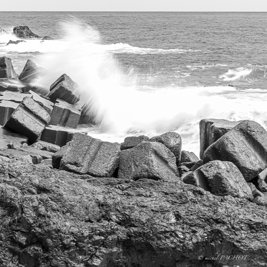 Madere, lignes insulaires - photographie 30 par Michel Pachot