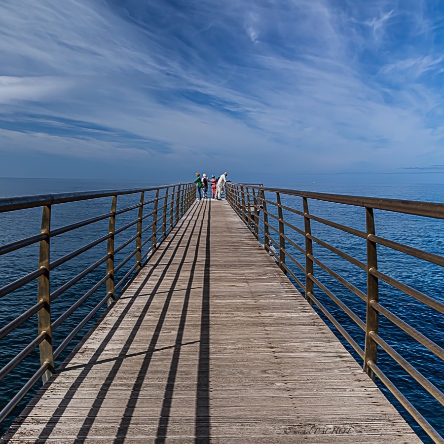 Madere, lignes insulaires - photographie 55 par Michel Pachot
