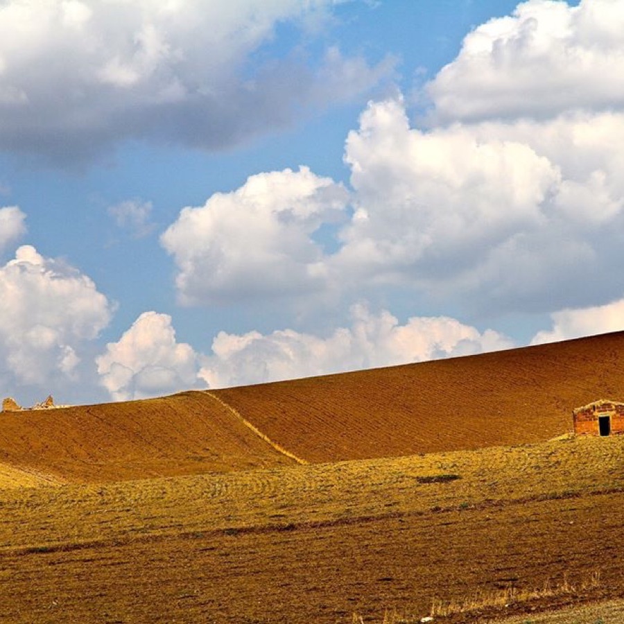 Photographie minimaliste - photographie 5 par Michel Pachot